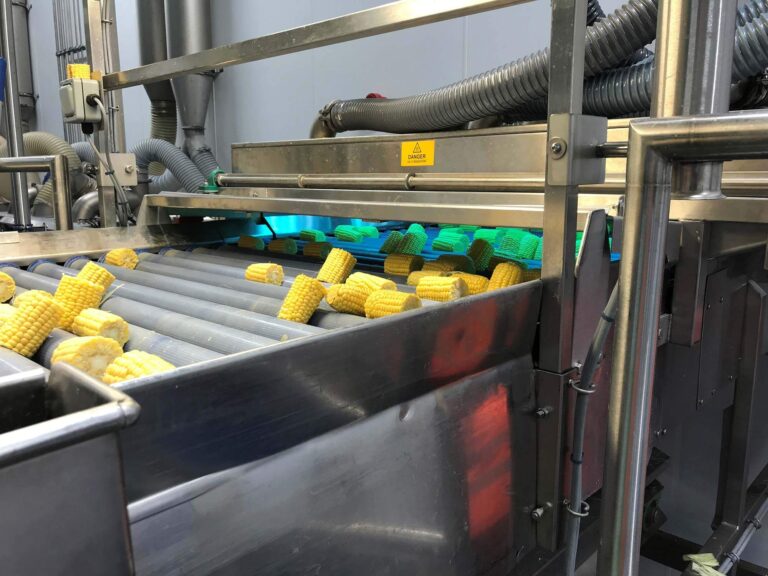 UV surface disinfection for food industry