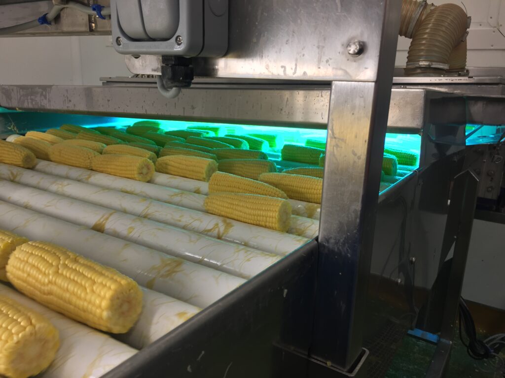 using UV technology in food and drink manufacturing
