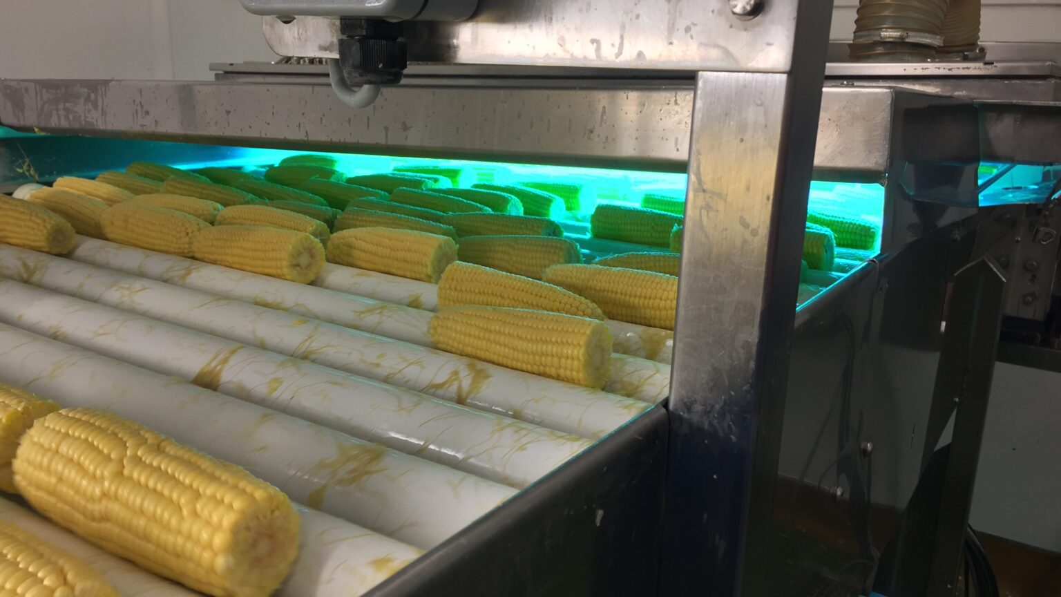 UV technology in food processingUV Technology in Food Processing UVO3