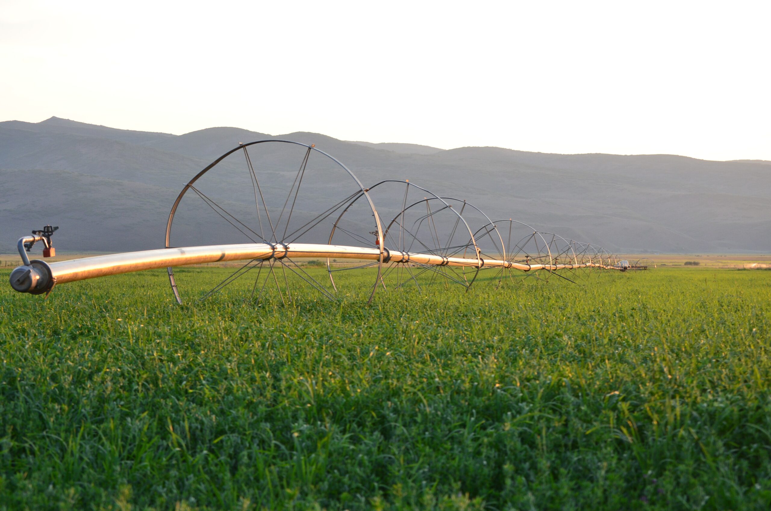 Safe spraying and irrigating, even during periods of drought