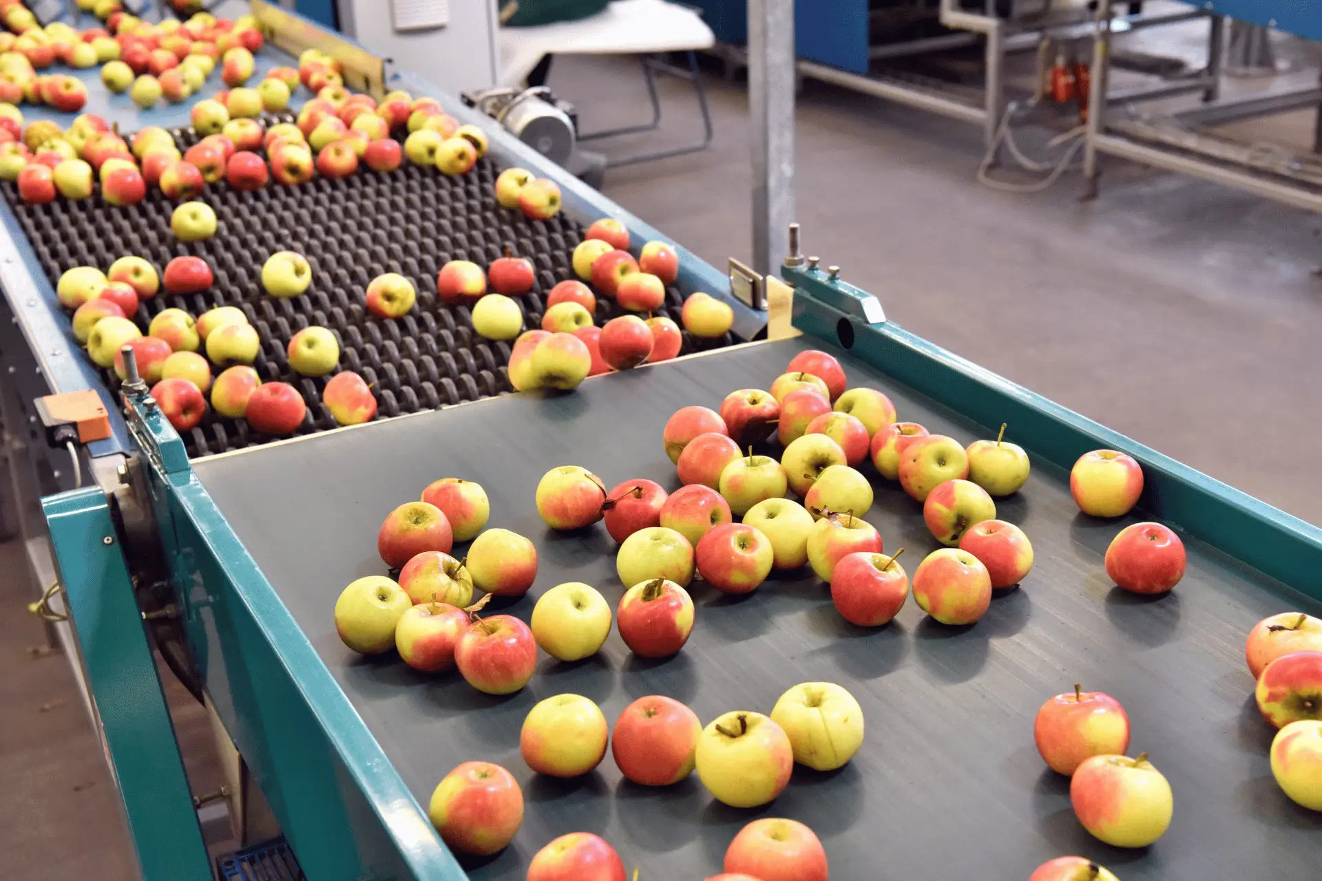 Revolutionary UV technology for food safety at Fruit Focus 2026